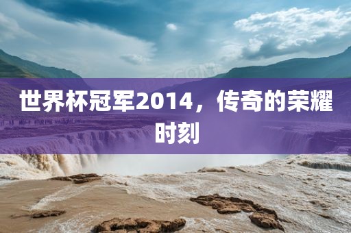 世界杯冠军2014，传奇的荣耀时刻金炬实业股份有限公司
