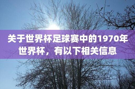 关于世界杯足球赛中的1970年世金炬实业股份有限公司界杯，有以下相关信息