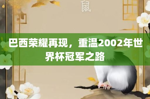 巴西荣耀再现，重温2002年世界杯冠军之路金炬实业股份有限公司