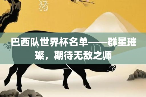 巴西队世界杯名单——群星璀璨，期待无敌之师