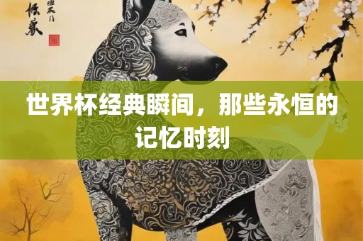 世界杯经典瞬间，那些永恒的记忆时刻