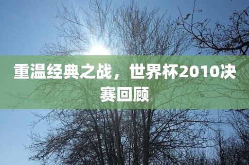 重温经典之战，世界杯2010决赛回顾金炬实业股份有限公司