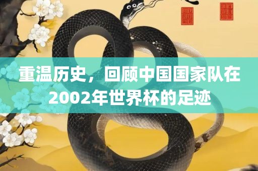 重温历史，回顾中国国家队在2002年世界杯的足迹金炬实业股份有限公司