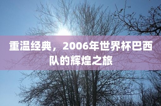 重温经典，2006年世界杯巴西队的辉煌之旅