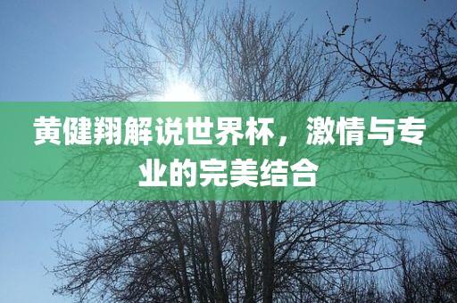 黄健翔解说世界杯，激情与专业的完美结合金炬实业股份有限公司
