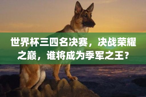 世界杯三四名决赛，决战荣耀之巅，谁将成为季军之王金炬实业股份有限公司？