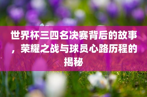 世界杯三四名决赛背后的故事，荣耀之战与球员心路历程的揭秘