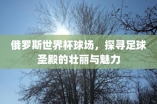 俄罗斯世界杯球场，探寻足球圣殿的壮丽与魅力金炬实业股份有限公司