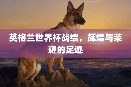 英格兰世界杯战绩，辉煌与荣耀的足迹金炬实业股份有限公司