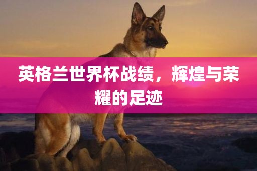 英格兰世界杯战绩，辉煌与荣耀的足迹金炬实业股份有限公司