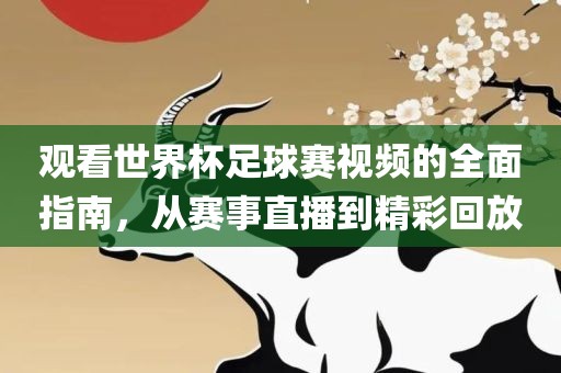 观看世界杯足球赛视频的全面指南，从赛事直播到精彩回放