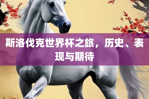 斯洛伐克世界杯之旅，历史、表现与期待