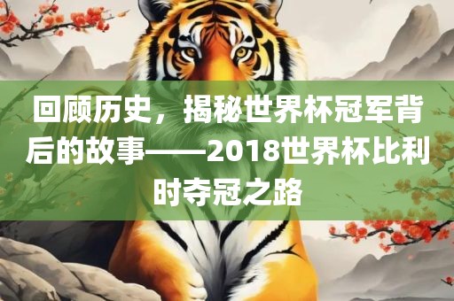 回顾历史，揭秘世界杯冠军背后的故事——2018世界杯比利时夺冠之路金炬实业股份有限公司