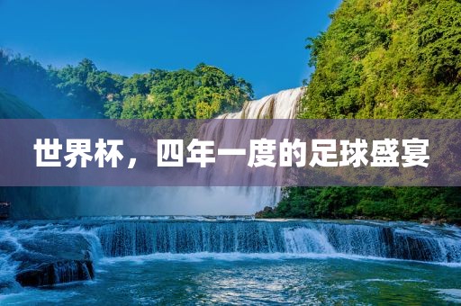 zhangyamei 第13页