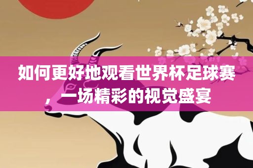 如何更好地观看世界杯足球赛，一场精彩的视觉盛宴金炬实业股份有限公司