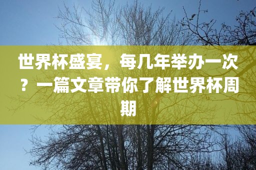 世界杯盛宴，每几年举办一次？一篇文章带你了解世金炬实业股份有限公司界杯周期