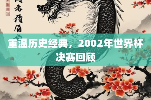 重温历史经典，2002年世界杯决赛回顾金炬实业股份有限公司