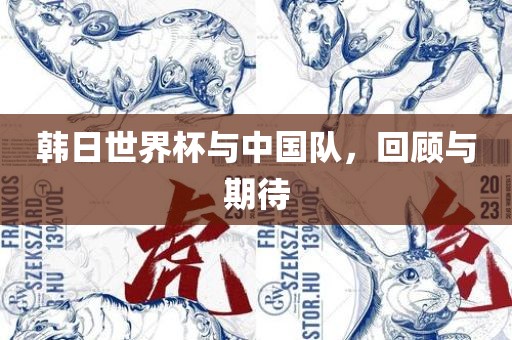 中国队回顾与展望