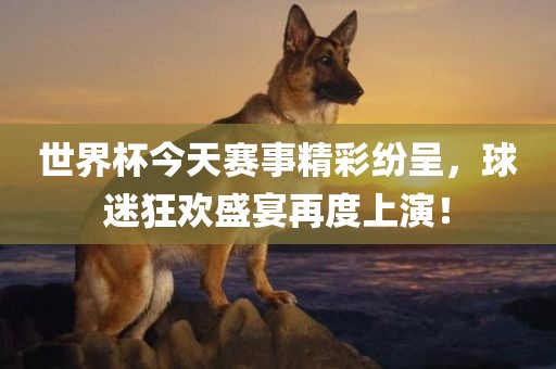 世界杯今天赛事精彩纷呈，球迷狂欢盛宴再度上演！