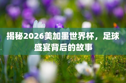 揭秘2026美加墨世界杯，足球盛宴背后的故事金炬实业股份有限公司