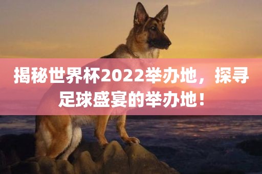 揭秘世界杯2022举办地，探寻足球盛宴的举办地！