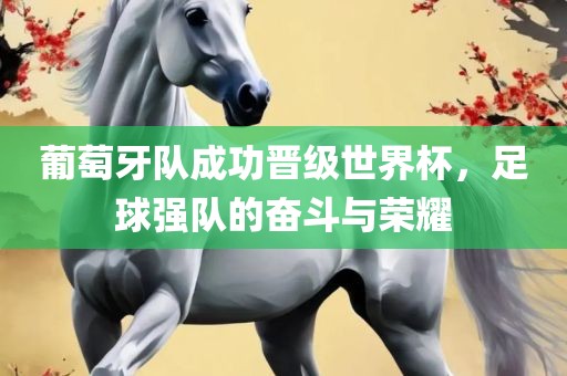 葡萄牙队成功晋级世界杯，足球强队的奋斗与荣耀
