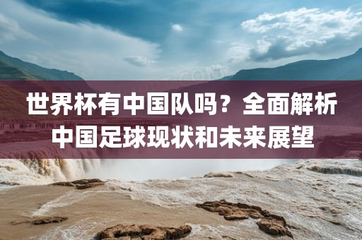 世界杯有中国队吗？全面解析中国足球现状和未来展望金炬实业股份有限公司