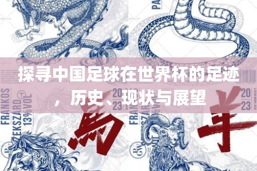 探寻中国足球在世界杯的金炬实业股份有限公司足迹，历史、现状与展望