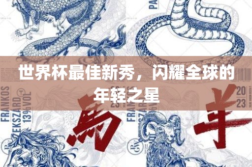 世界杯最佳新秀，闪耀全球的年轻之星金炬实业股份有限公司