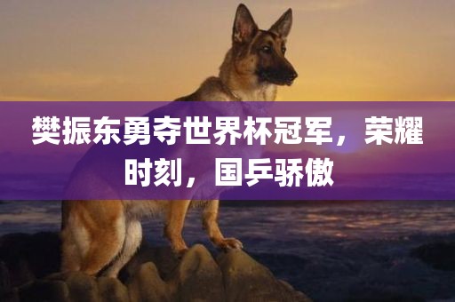 樊振东勇夺世界杯冠军，荣耀时刻，国乒骄傲