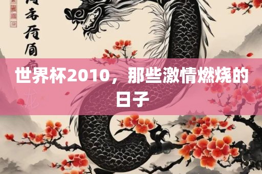 世界杯2010，那些激情燃烧的日子金炬实业股份有限公司