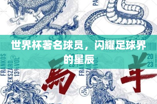 世界杯著名球员，闪耀足球界的星辰金炬实业股份有限公司