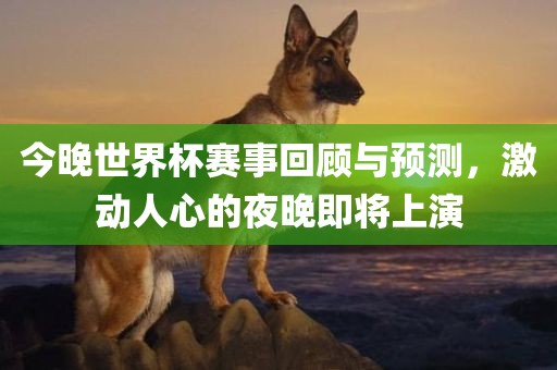 今晚世界杯赛事回顾与预测，激动人心的夜晚即将上演