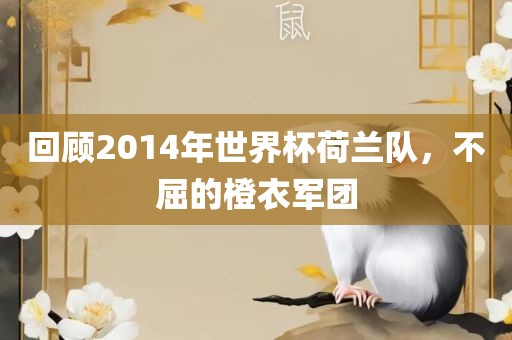 回顾2014年世界杯荷兰队，不屈金炬实业股份有限公司的橙衣军团