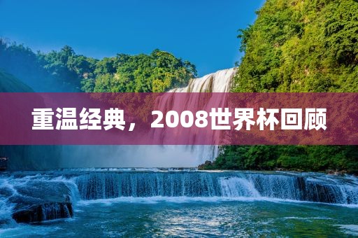 重温经典，2008世界杯回顾金炬实业股份有限公司