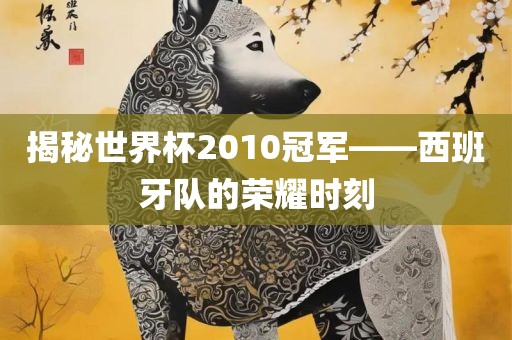揭秘世界杯2010冠军——西班牙队的荣耀时刻金炬实业股份有限公司