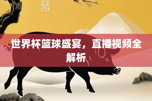 世界杯篮球盛宴