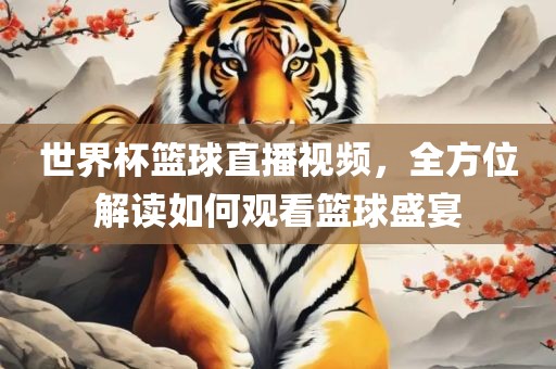 世界杯篮球直播视频，全方位解读如何观看篮球盛宴金炬实业股份有限公司