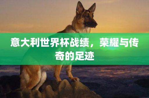 意大利世界杯战绩，荣耀与传奇的足迹金炬实业股份有限公司