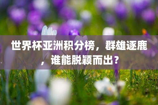 世界杯亚洲积分榜，群雄逐鹿，谁能脱颖而出？