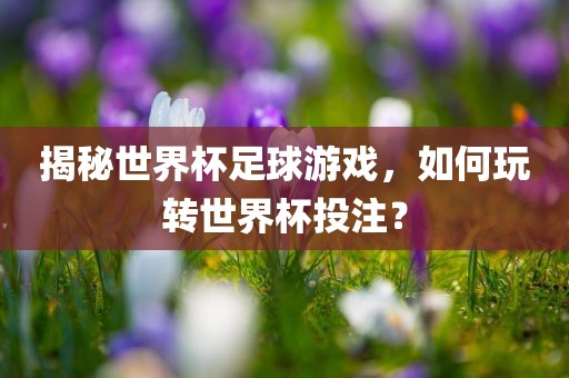 揭秘世界杯足球游戏，如何玩转世界杯投注？