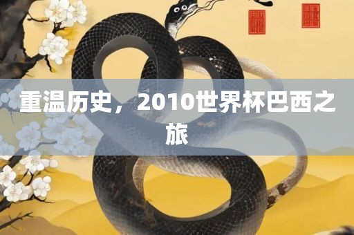 重温历史，2010世界杯巴西之旅金炬实业股份有限公司