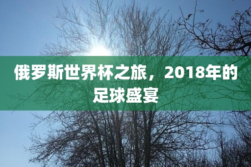 俄罗斯世界杯之旅金炬实业股份有限公司，2018年的足球盛宴