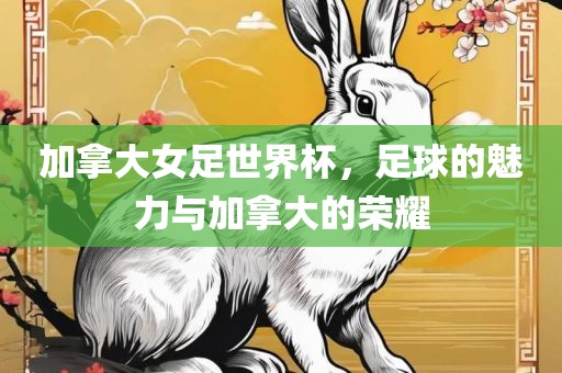 加拿大女足世界杯，足球的魅力与加拿大的荣耀