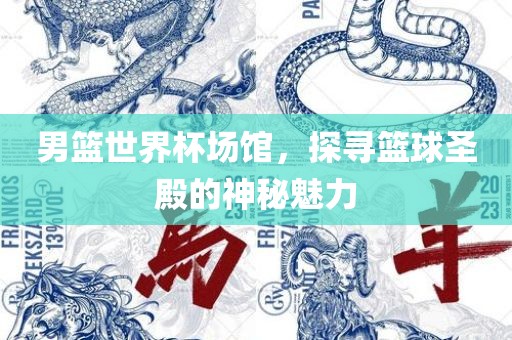 男篮世界杯场馆，探寻篮球圣殿的神秘魅力金炬实业股份有限公司