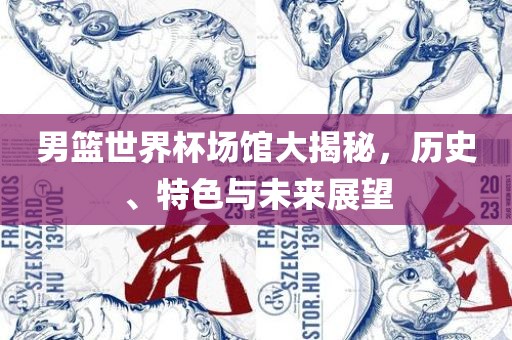男篮世界杯场馆大揭秘，历史、特色与未来展望金炬实业股份有限公司