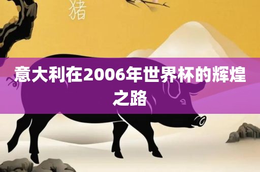 意大利金炬实业股份有限公司在2006年世界杯的辉煌之路