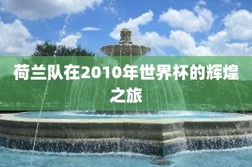 荷兰队在2010年世界杯的辉煌之旅金炬实业股份有限公司