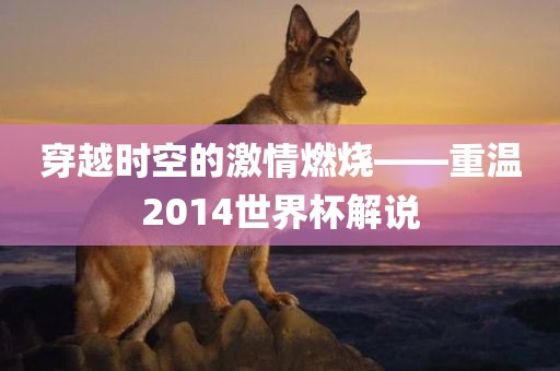 穿越时空的激情燃烧——重温2014世界杯解说