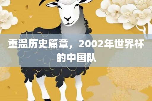 重温历史篇章，2002年世界杯的中国队金炬实业股份有限公司
